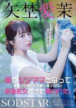 “Sister’s Homecoming: Losing Virginity to Brother”